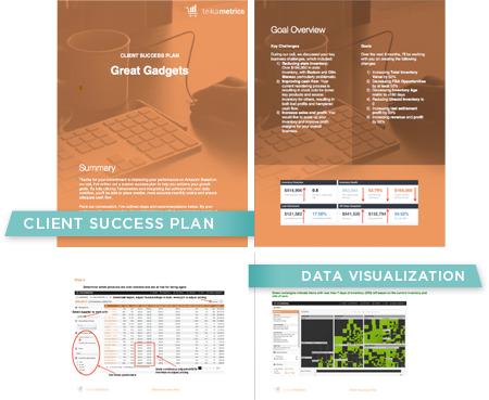 Client Sucess Plan